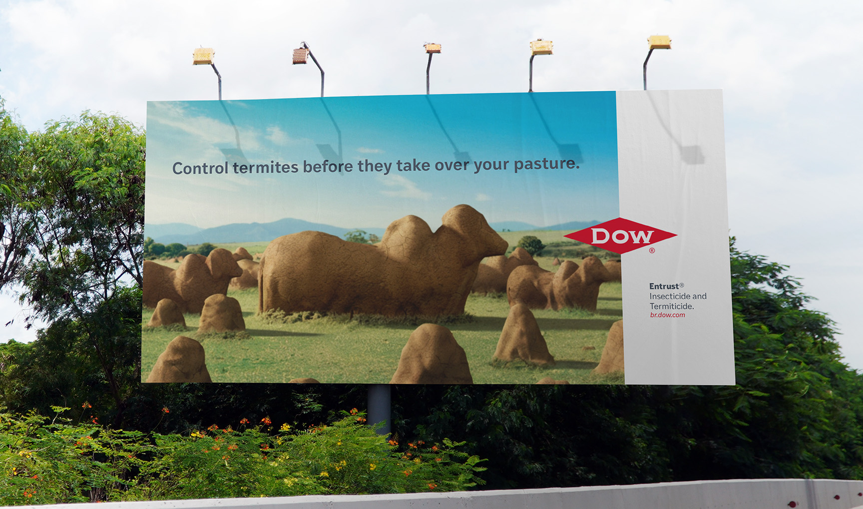Dow® Brasil OOH